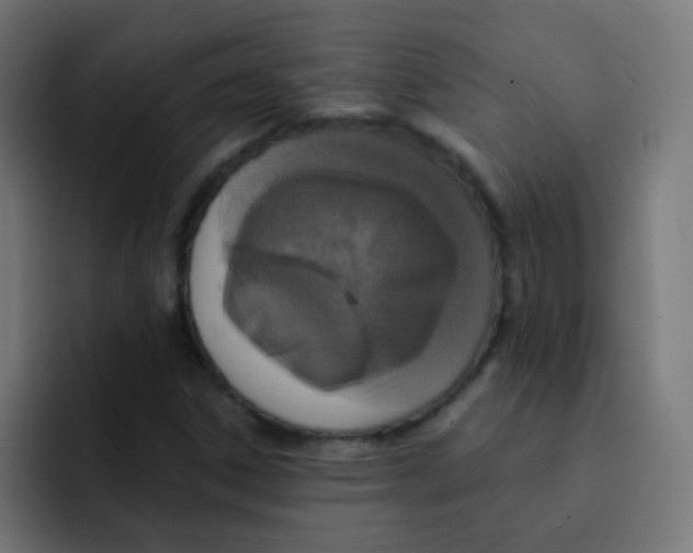 X0000092031306200710041054