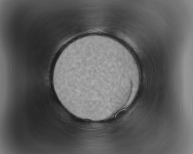 X0000092031308200710041054