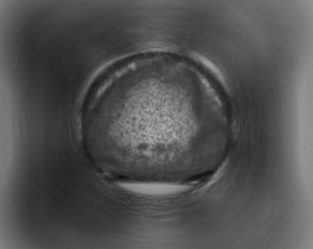 X0000092031310200710041054