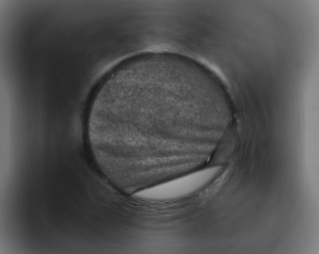 X0000092031311200710041054