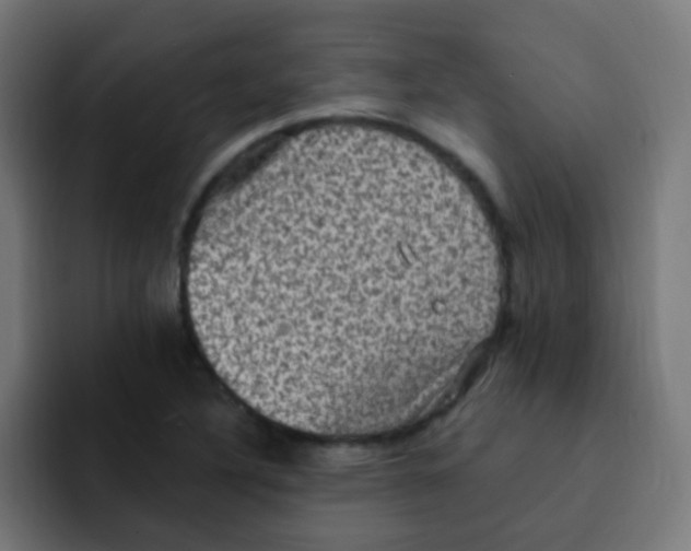 X0000092031316200710041054