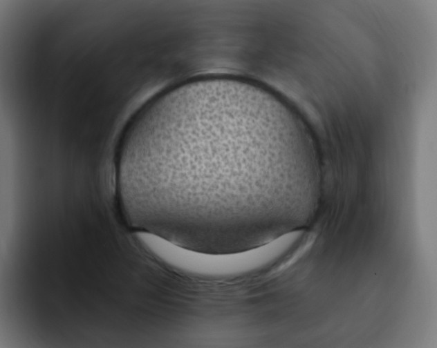 X0000092031317200710041054