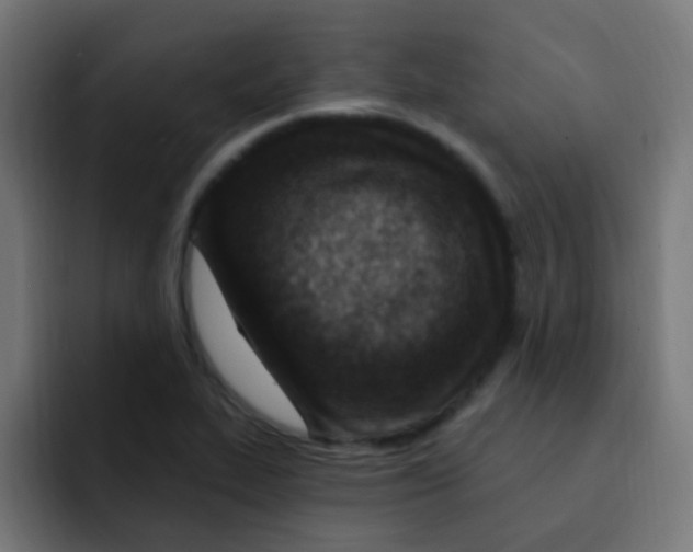 X0000092031319200710041054