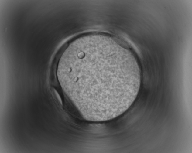 X0000092031320200710041054