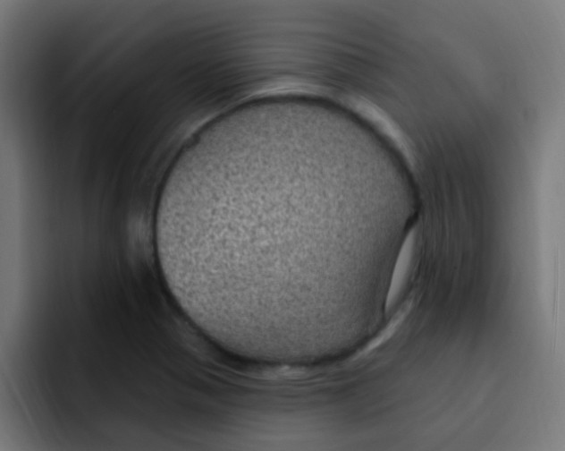 X0000092031321200710041054