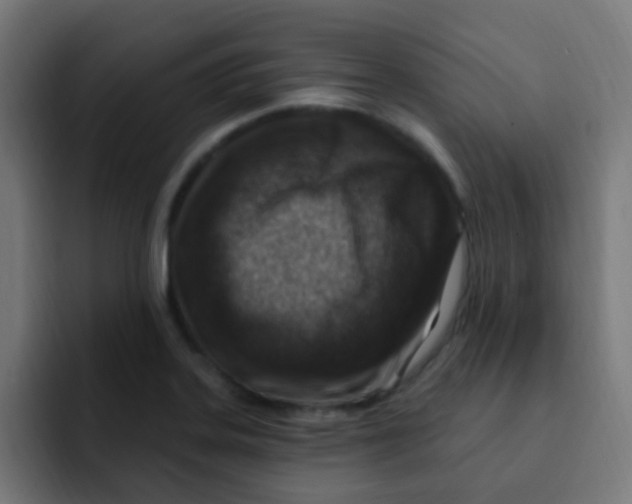 X0000092031323200710041054