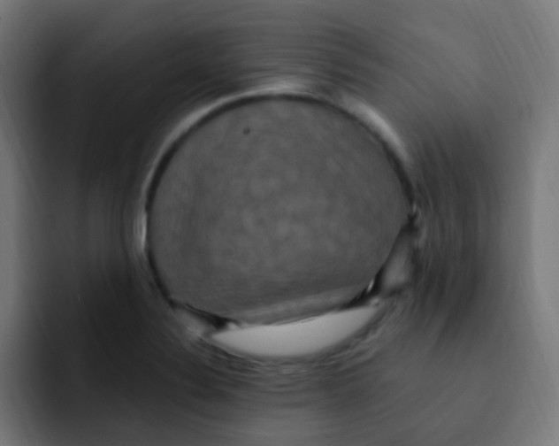 X0000092031324200710041054