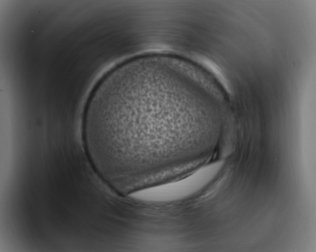 X0000092031326200710041054