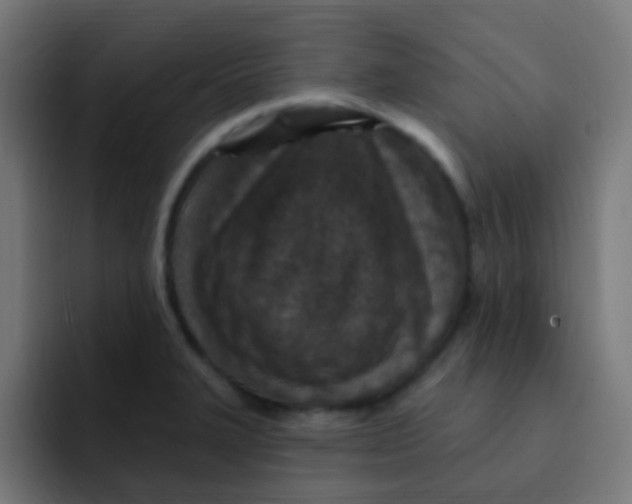 X0000092031327200710041054