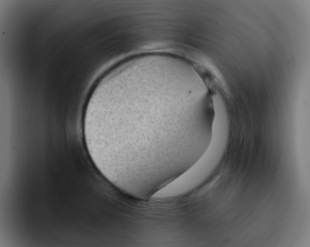 X0000092031328200710041054