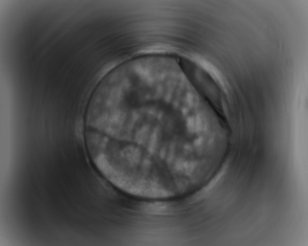 X0000092031329200710041054