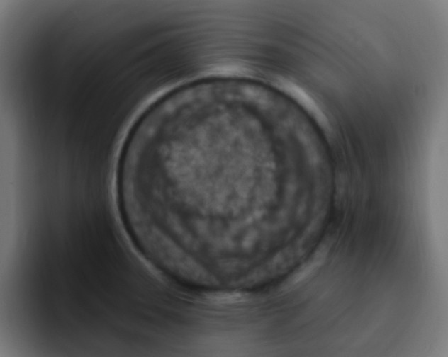 X0000092031331200710041054