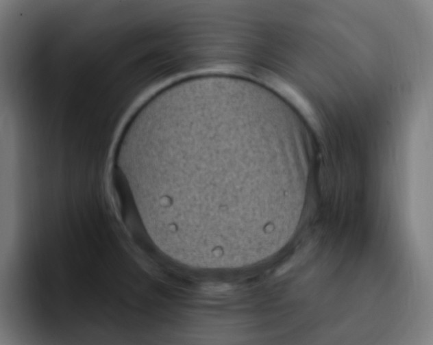 X0000092031332200710041054