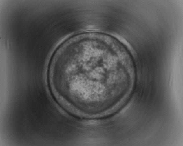 X0000092031333200710041054