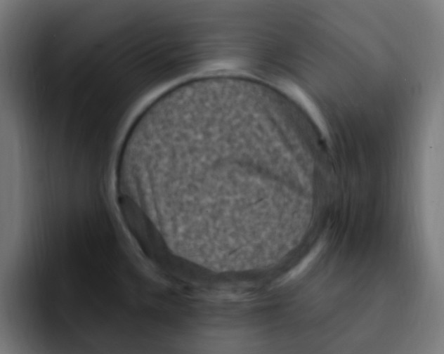 X0000092031336200710041054