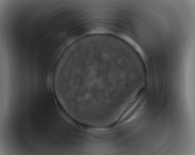 X0000092031337200710041054