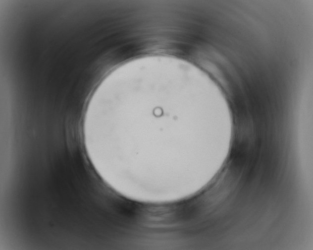 X0000092031338200710041054