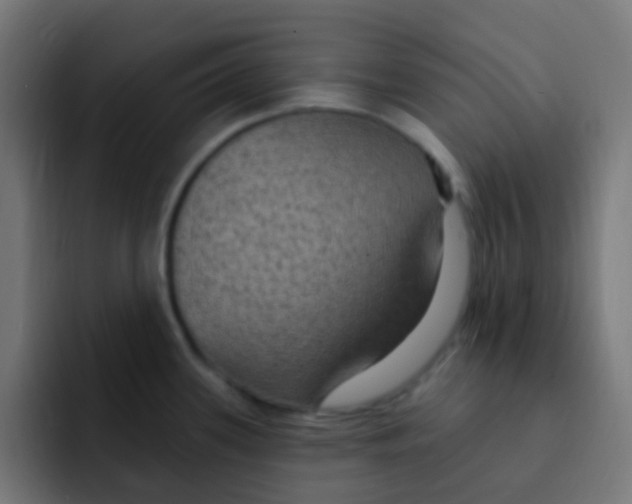 X0000092031339200710041054