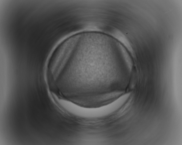 X0000092031342200710041054