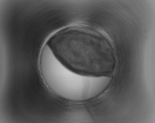 X0000092031344200710041054