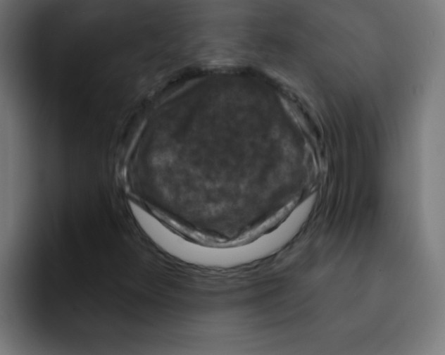 X0000092031348200710041054