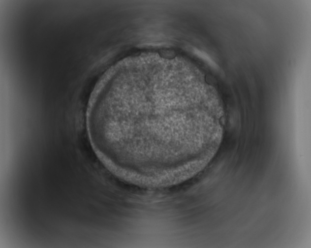 X0000092031350200710041054