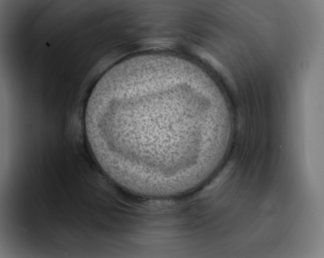 X0000092031354200710041054