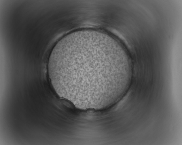 X0000092031355200710041054