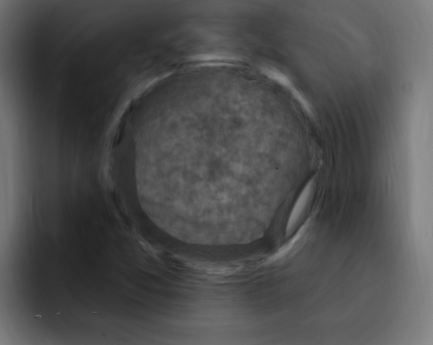 X0000092031357200710041054