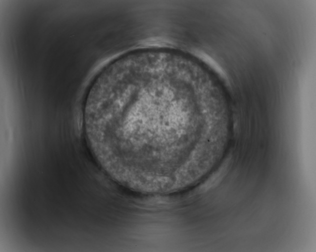 X0000092031358200710041054