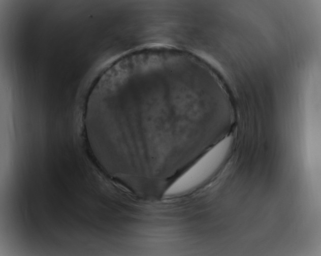 X0000092031359200710041054