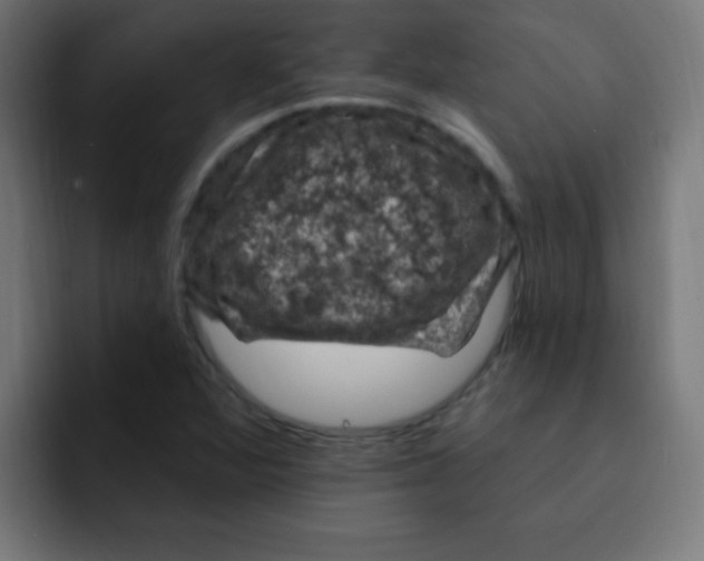 X0000092031360200710041054