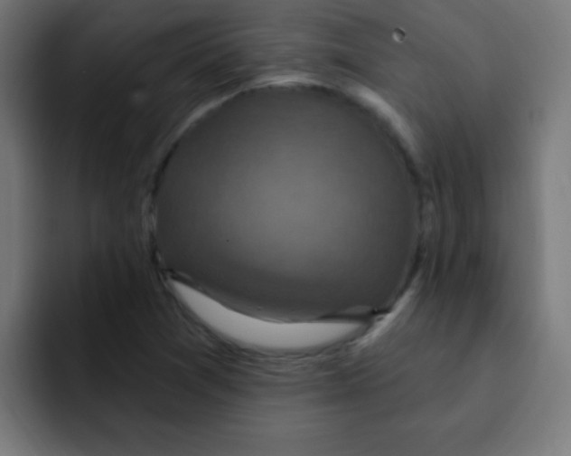 X0000092031361200710041054