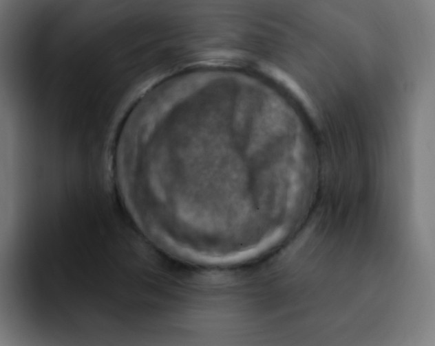 X0000092031362200710041054