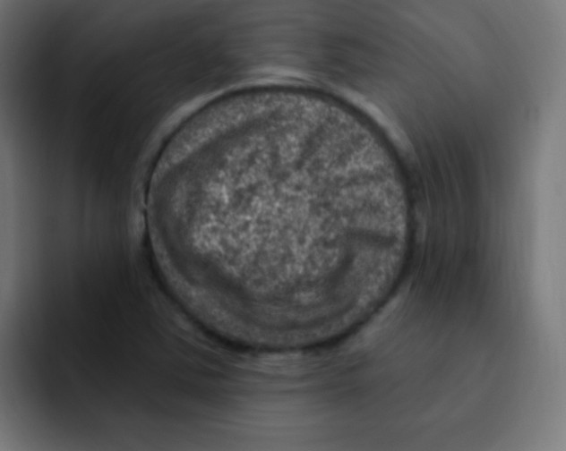 X0000092031363200710041054