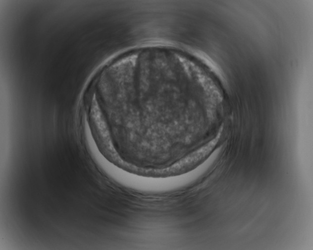 X0000092031364200710041054