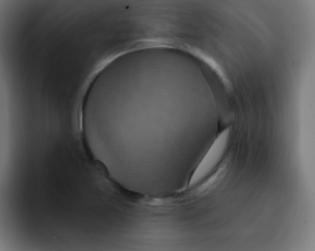 X0000092031365200710041054