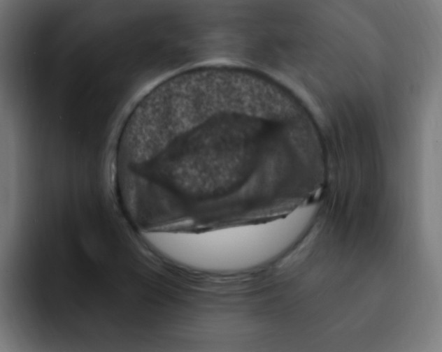 X0000092031367200710041054