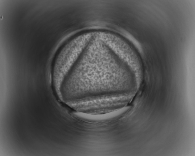 X0000092031368200710041054