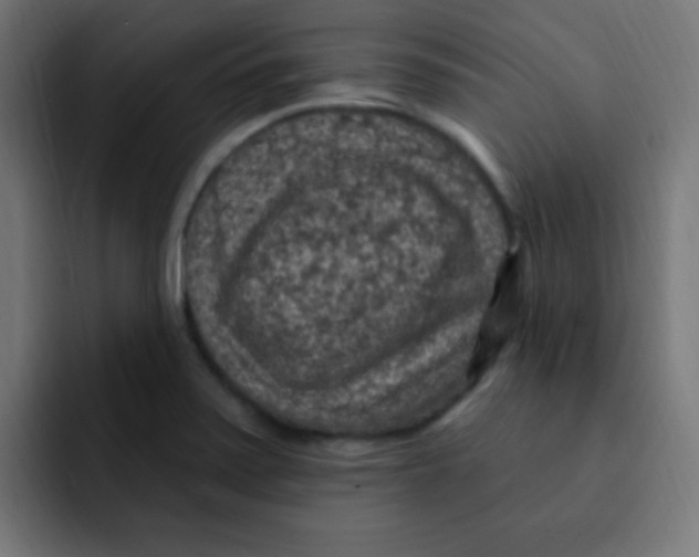 X0000092031371200710041054