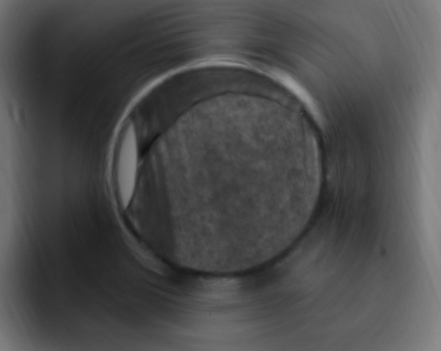 X0000092031372200710041054