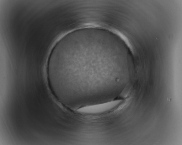 X0000092031373200710041054