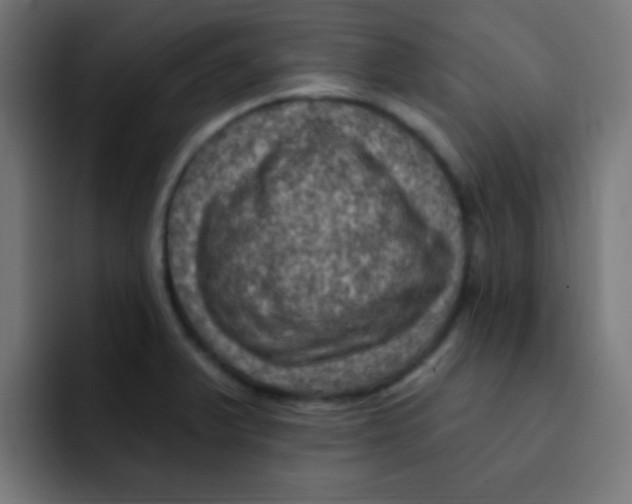 X0000092031375200710041054