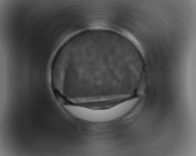 X0000092031376200710041054