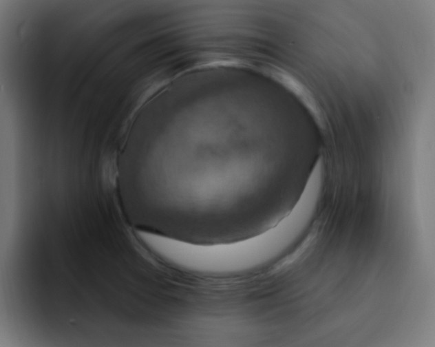 X0000092031377200710041054