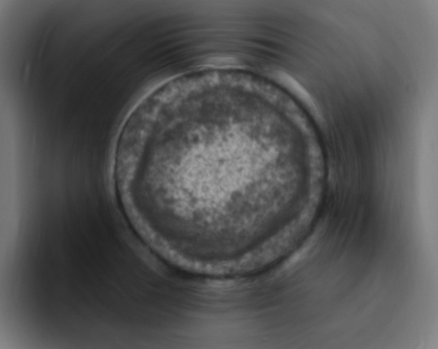 X0000092031378200710041054