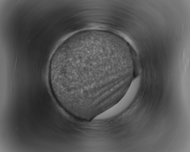 X0000092031379200710041054