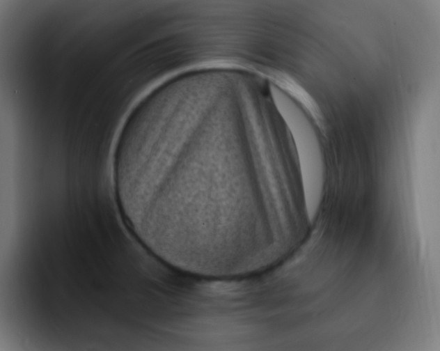 X0000092031380200710041054