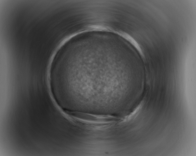 X0000092031381200710041054