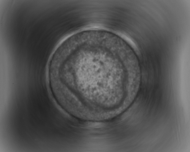 X0000092031382200710041054